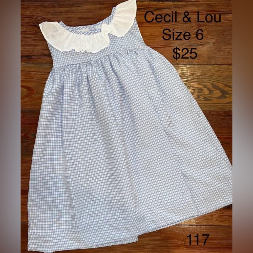Cecil & Lou Blue and White Gingham Dress